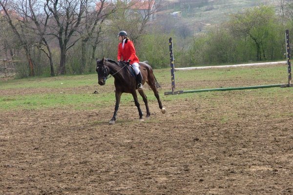 Tilridning