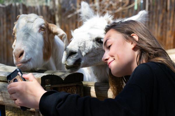 Billetsystem til zoo, dyrskuer, arrangementer mv.