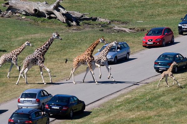 Knuthenborg Safaripark