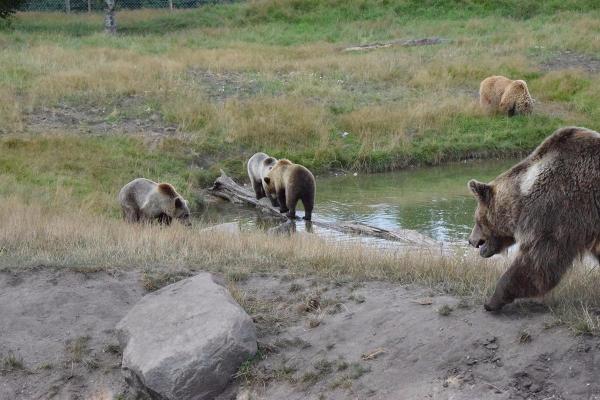 Skandinavisk Dyrepark